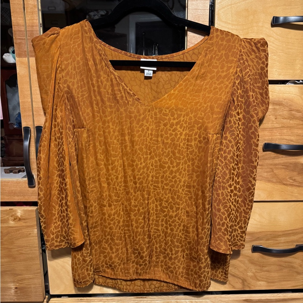 Women's Brown V-Neck Top